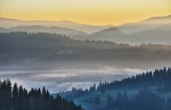 Утренние Карпаты Живописный Восход Солнца Горах Осенний Туман — стоковое фото