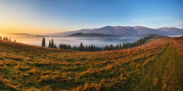 Günaydın Karpatlar Dağlarda Gündoğumunun Manzarası Sonbahar Sisi — Stok fotoğraf