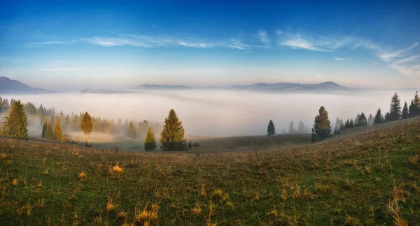 Morgenkarpaten Malerischer Sonnenaufgang Den Bergen Herbstnebel — Stockfoto