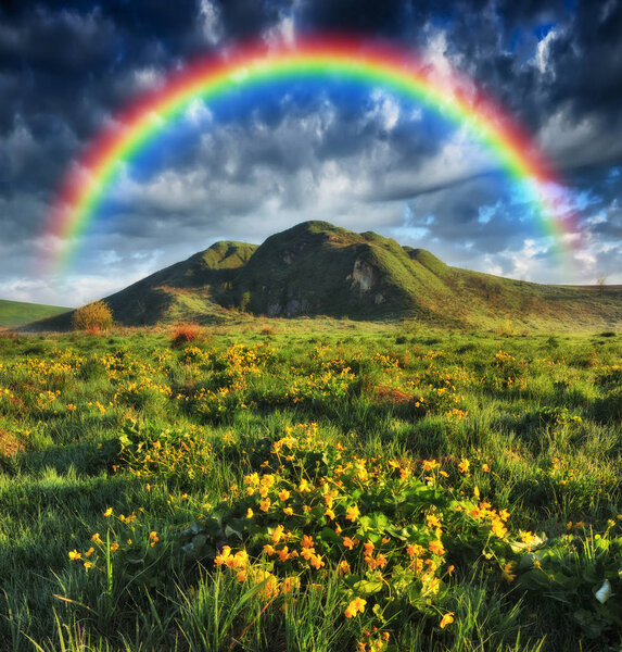 rainbow in the meadow. picturesque spring morning. before the storm