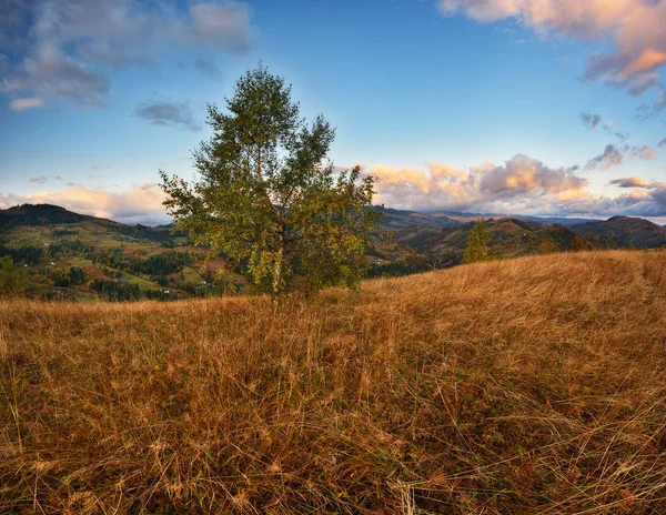 Matin Montagnes Des Carpates Lever Soleil Automne Pittoresque — Photo