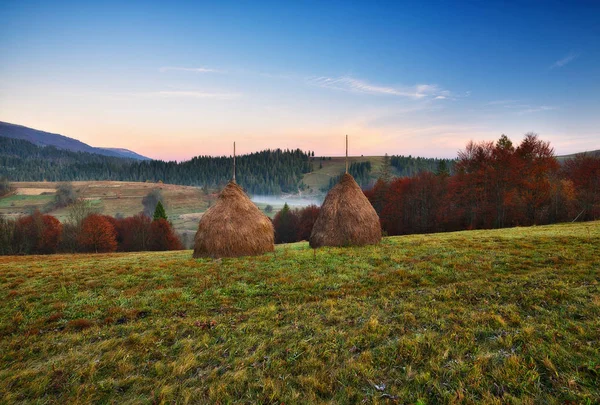 草堆在草地上 喀尔巴阡山脉的黎明 风景如画的早晨 — 图库照片