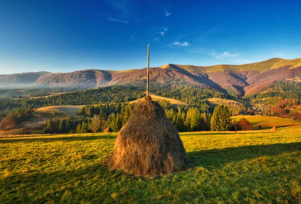 Çayırdaki Saman Yığını Carpathian Dağlarında Şafak Vakti Resim Gibi Bir — Stok fotoğraf