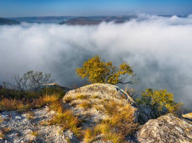 Kanyonun üzerinde sis var. Dnister Nehri. Resimli bir yerde sonbahar sabahı