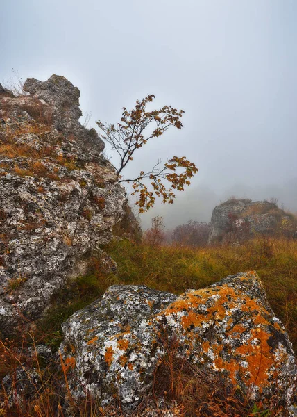 Mgła Nad Kanionem Rzeka Dnister Jesienny Poranek Malowniczym Miejscu — Zdjęcie stockowe