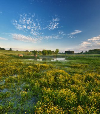 Bahar sabahı. Pahalı bir nehrin vadisinde şafak vakti. Renkli gökyüzü