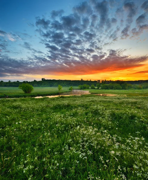 Spring Morning Dawn Valley Picturesque River Colorful Sky — Stock Photo, Image