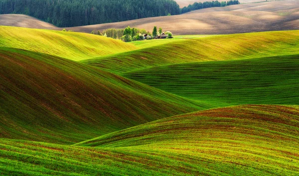 Heuvelachtig Veld Pittoresk Groen Veld Landelijk Landschap — Stockfoto