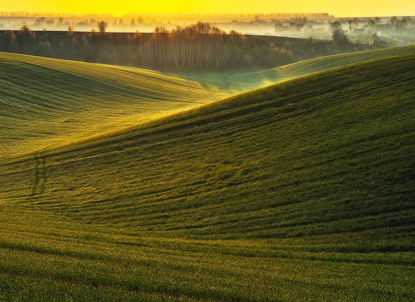 Hilly Field Picturesque Green Field Rural Landscape — 스톡 사진