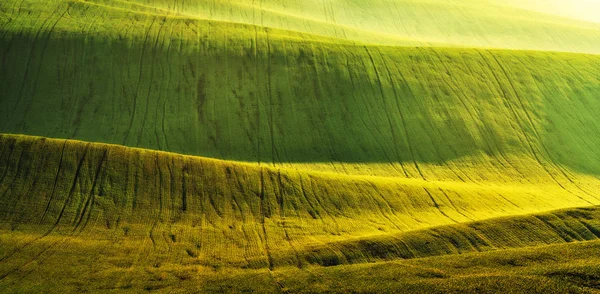 Campo Collinare Pittoresco Campo Verde Paesaggio Rurale — Foto Stock