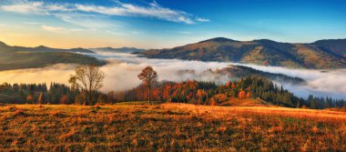 Dağlarda sis var. Karpat Dağları 'nda manzaralı gün doğumu