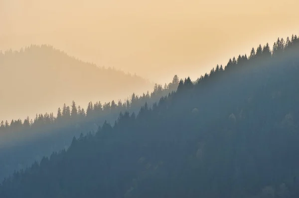 Mgła Górach Malowniczy Wschód Słońca Karpatach — Zdjęcie stockowe