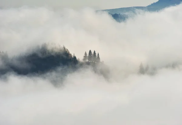 Niebla Las Montañas Amanecer Las Montañas Los Cárpatos —  Fotos de Stock