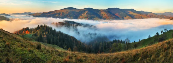 山中的雾 喀尔巴阡山脉的日出美景 — 图库照片