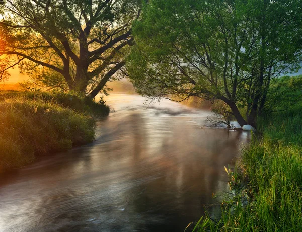 Świt Dolinie Rzeki Poranna Mgła — Zdjęcie stockowe