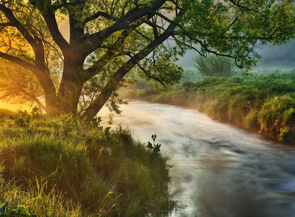 Amanecer Valle Del Río Niebla Matinal — Foto de Stock