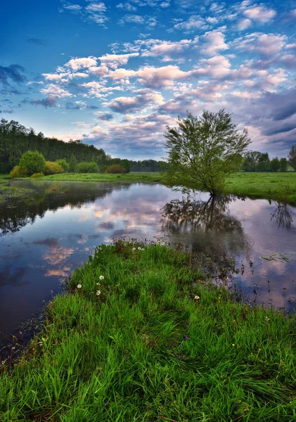 Dageraad Vallei Van Een Schilderachtige Rivier Een Rustige Ochtend Voorjaarslandschap — Stockfoto