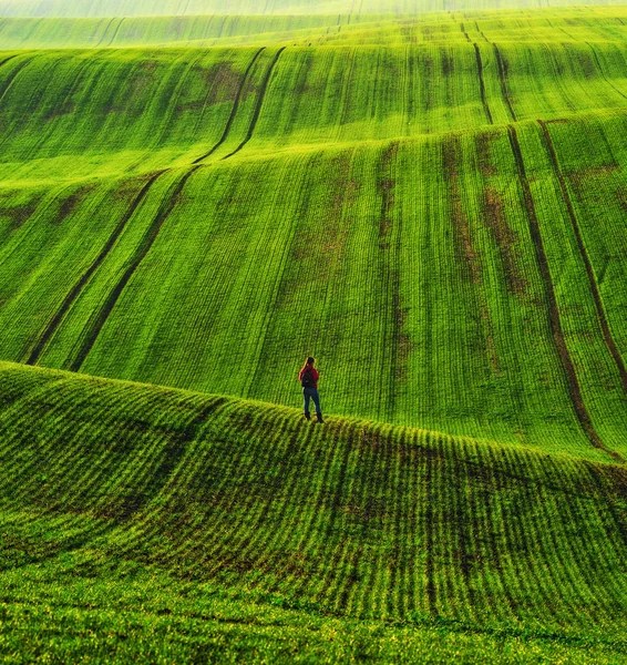 Campo Montanhoso Turista Campo Pitoresco Paisagem Rural — Fotografia de Stock