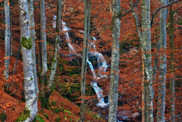 Судовой Водопад Карпатах Живописный Осенний Водопад — стоковое фото