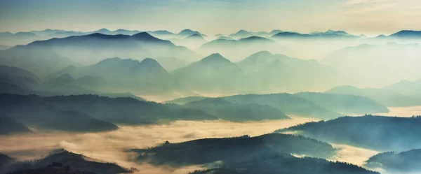 Siluety Ranních Hor Mlhavé Ráno Karpatech Horská Krajina — Stock fotografie