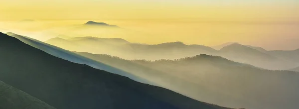 Sagome Montagne Del Mattino Mattinata Nebbiosa Nei Carpazi Paesaggio Montano — Foto Stock