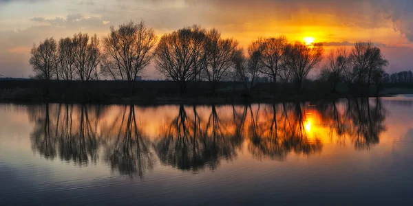 Reflexion Der Bäume Fluss Malerischer Frühlingsmorgen — Stockfoto