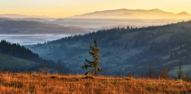 Karpatlar 'da sisli bir gün doğumu. Sonbahar dağlarının yamaçları arasında pitoresk sis