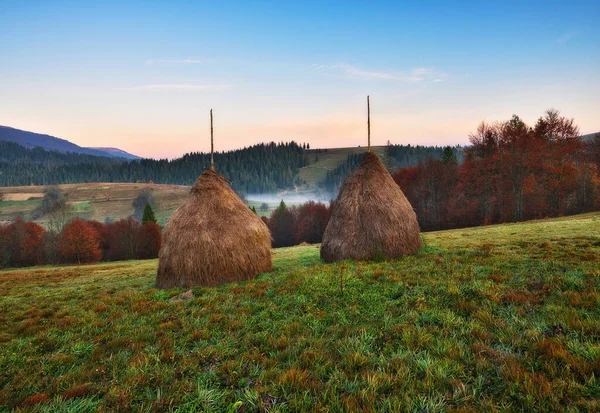 Haystacks Contra Telón Fondo Las Montañas Otoño Amanecer Las Montañas —  Fotos de Stock