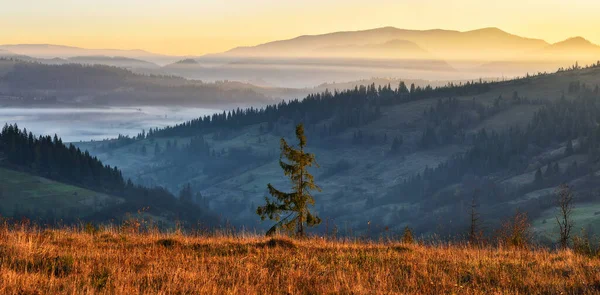 Lever Soleil Brumeux Dans Les Carpates Brouillard Pittoresque Entre Les — Photo