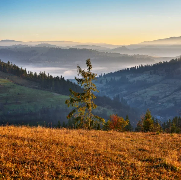 Mlhavý Východ Slunce Karpatech Malebná Mlha Mezi Svahy Podzimních Hor — Stock fotografie