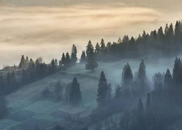 Mglisty Wschód Słońca Karpatach Malownicza Mgła Pomiędzy Zboczami Jesiennych Gór — Zdjęcie stockowe
