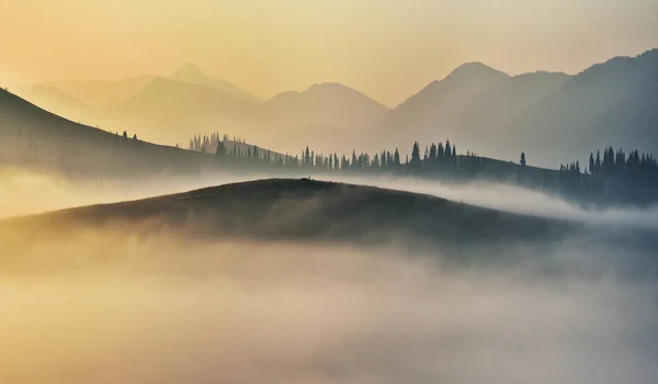 Nebliger Sonnenaufgang Den Karpaten Malerischer Nebel Zwischen Den Hängen Der — Stockfoto