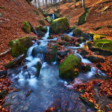 Sonbahar ormanında güzel bir şelale. Karpat Dağlarında Şelale