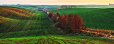 Tepe tarlası. Soyut kırsal alan. bahar temalı duvar kağıtları