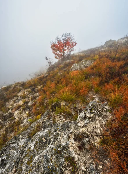 Rocks Fog Autumn Fog Canyon Dniester River — Stock Photo, Image