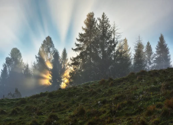 Осенний Рассвет Sun Rays Make Way Trees — стоковое фото