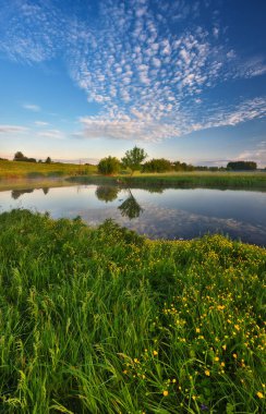 Suda yansıma. Pahalı bir nehrin vadisinde şafak vakti. bahar sabahı