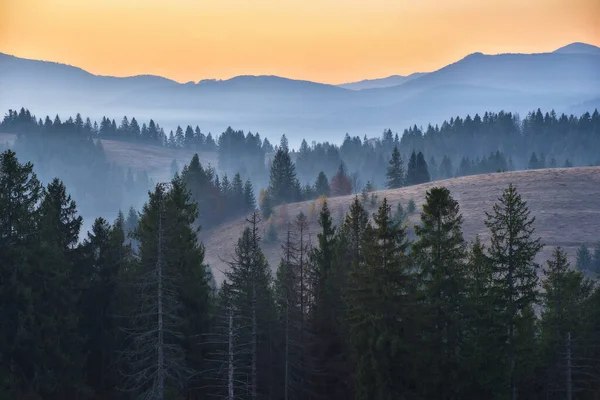 Σιλουέτες Βουνών Ομιχλώδες Φθινόπωρο Πρωί Πρωινά Καρπάθια — Φωτογραφία Αρχείου