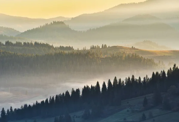 Sylwetki Gór Mglisty Jesienny Poranek Karpaty Poranne — Zdjęcie stockowe