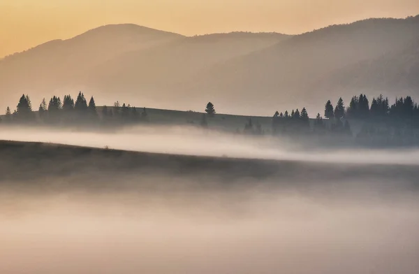 Silhouettes Mountains Foggy Autumn Morning Morning Carpathians — Stock Photo, Image