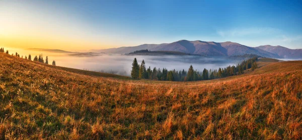 Mglisty Poranek Górach Jesienny Wschód Słońca Karpatach — Zdjęcie stockowe
