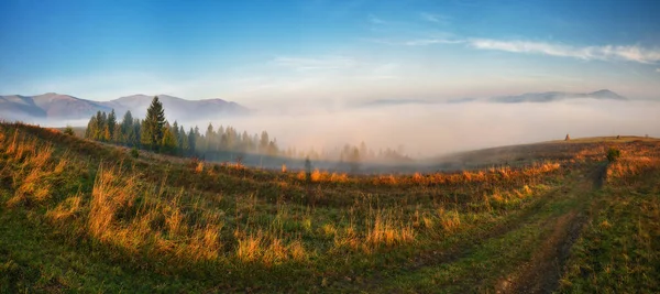 多雾的早上 在山上 喀尔巴阡山脉的秋日日出 — 图库照片