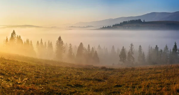 Mañana Brumosa Las Montañas Otoño Amanecer Los Cárpatos — Foto de Stock