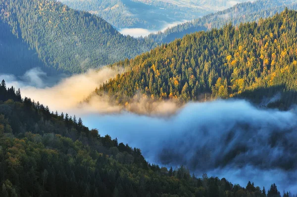 Mañana Brumosa Las Montañas Otoño Amanecer Los Cárpatos —  Fotos de Stock