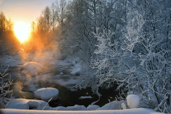 Hiver Rivière Givre Branches Arbre — Photo