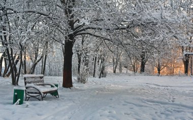 Donmuş beyaz dallar, soğuk bir kış parkında donmuş ağaçlar. Buz ve güneş.