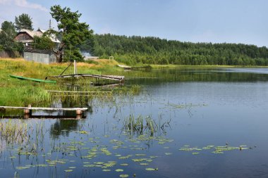 Güzel, sessiz bir gölün kıyısında ağaçlar, çalılar ve otlar..