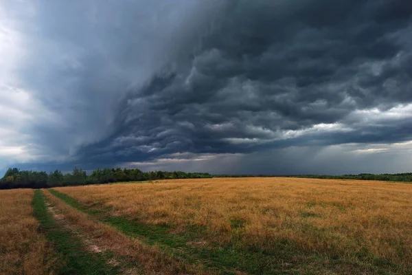 A thunderstorm is approaching, nature froze in anticipation of a storm of swirling, swirling clouds of rain.