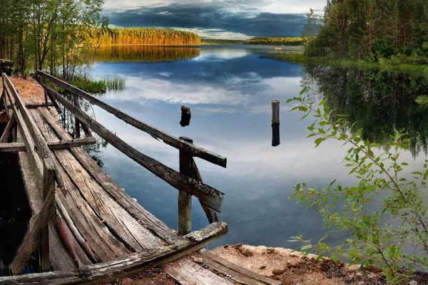 Árboles Orilla Lago Cálido Bosque Coníferas Cerca Estanque Taiga — Foto de Stock