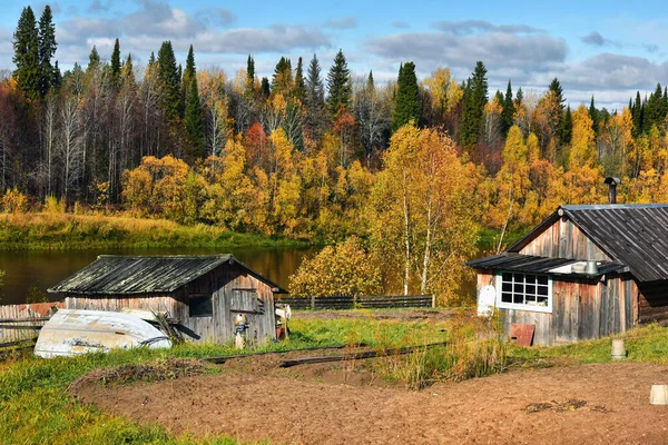 Jesień Opadającymi Liśćmi Żółtymi Drzewami Rosyjskim Pustkowiu Brzegu Rzeki — Zdjęcie stockowe